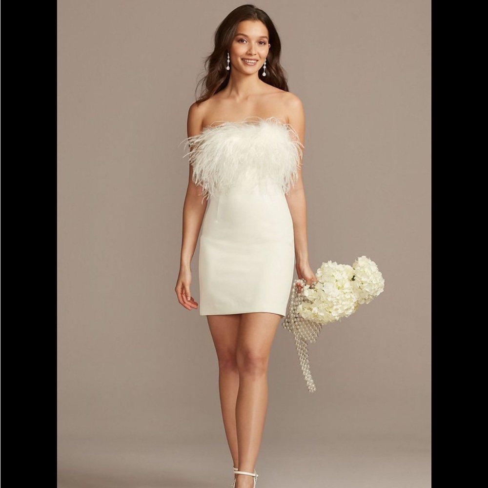 NWT DB Studio feather mini dress XL